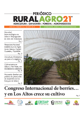 06 – Ags 2018