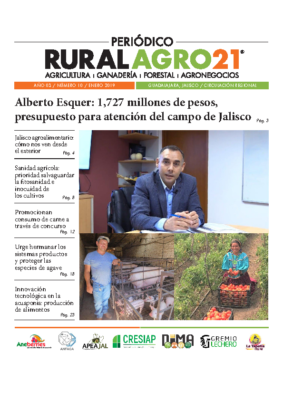 10 – Ene 2019