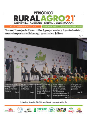 26 – Ags 2020