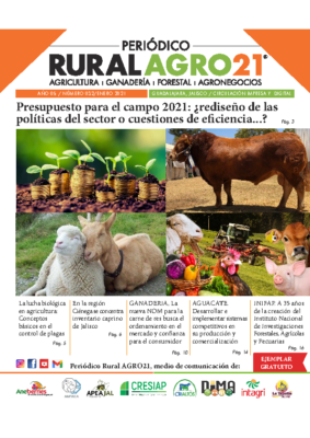 32 – Ene 2021