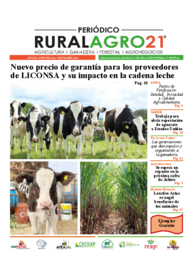 43 – Dic 2021