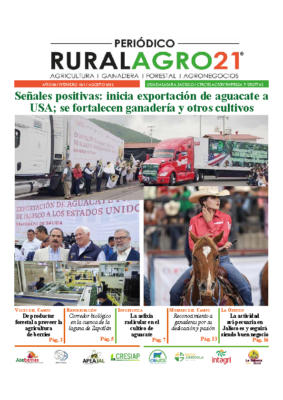 51 – Agosto 2022