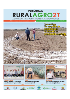 52 – Septiembre 2022
