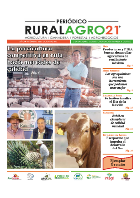 55 – Diciembre 2022