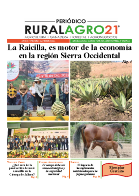 56 – ENERO 2023