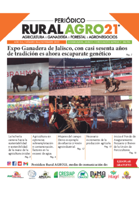 54 – Noviembre 2022