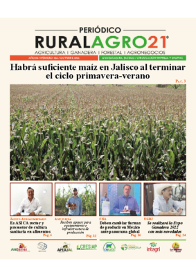53 – Octubre 2022