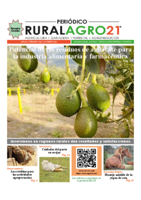 65 – Octubre 2023