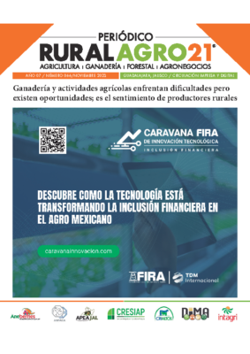 66 – Noviembre 2023