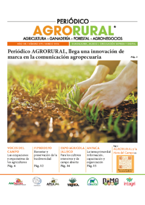 70 –  03 Marzo 2024