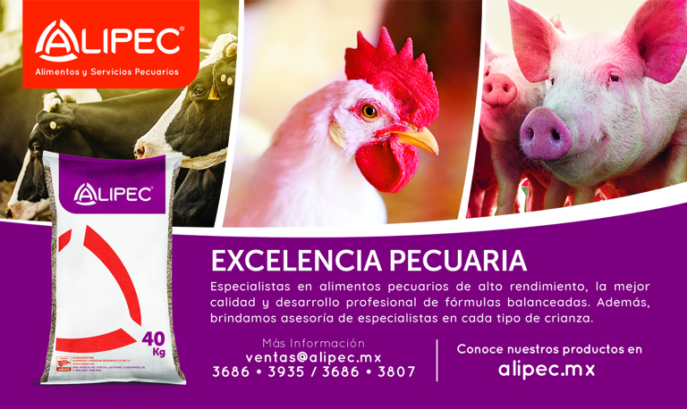 ANUNCIO ALIPEC _768x458