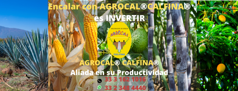 Encalar con AGROCAL CALFINA es invertir (26 × 10 cm)