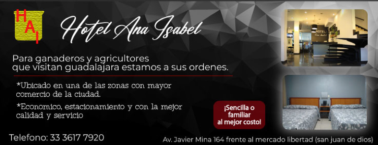 ANUNCIO HOTEL ANA ISABEL _768x295