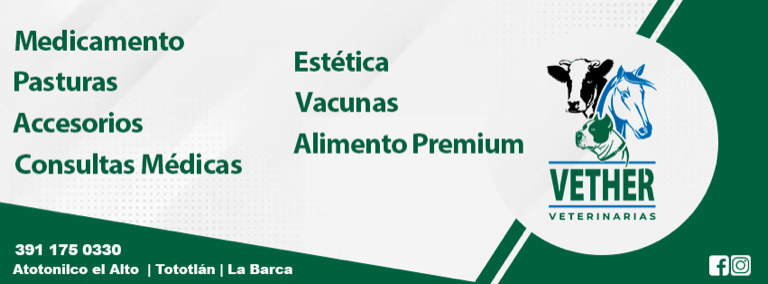 ANUNCIO VETHER A_768x284