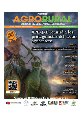 97-08 AGOSTO 2O26