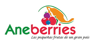 ANUNCIO PARA LA WEB ANEBERRIES
