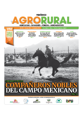 88-11 Noviembre 2025