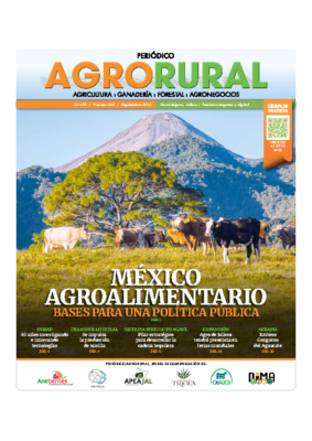 86-09 SEPTIEMBRE 2025